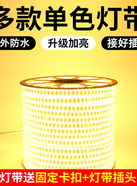 led双排灯带超亮灯条三色变光220v客厅吊顶装饰照明户外防水光带