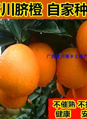广西富川脐橙新鲜赣南甜橙礼盒装