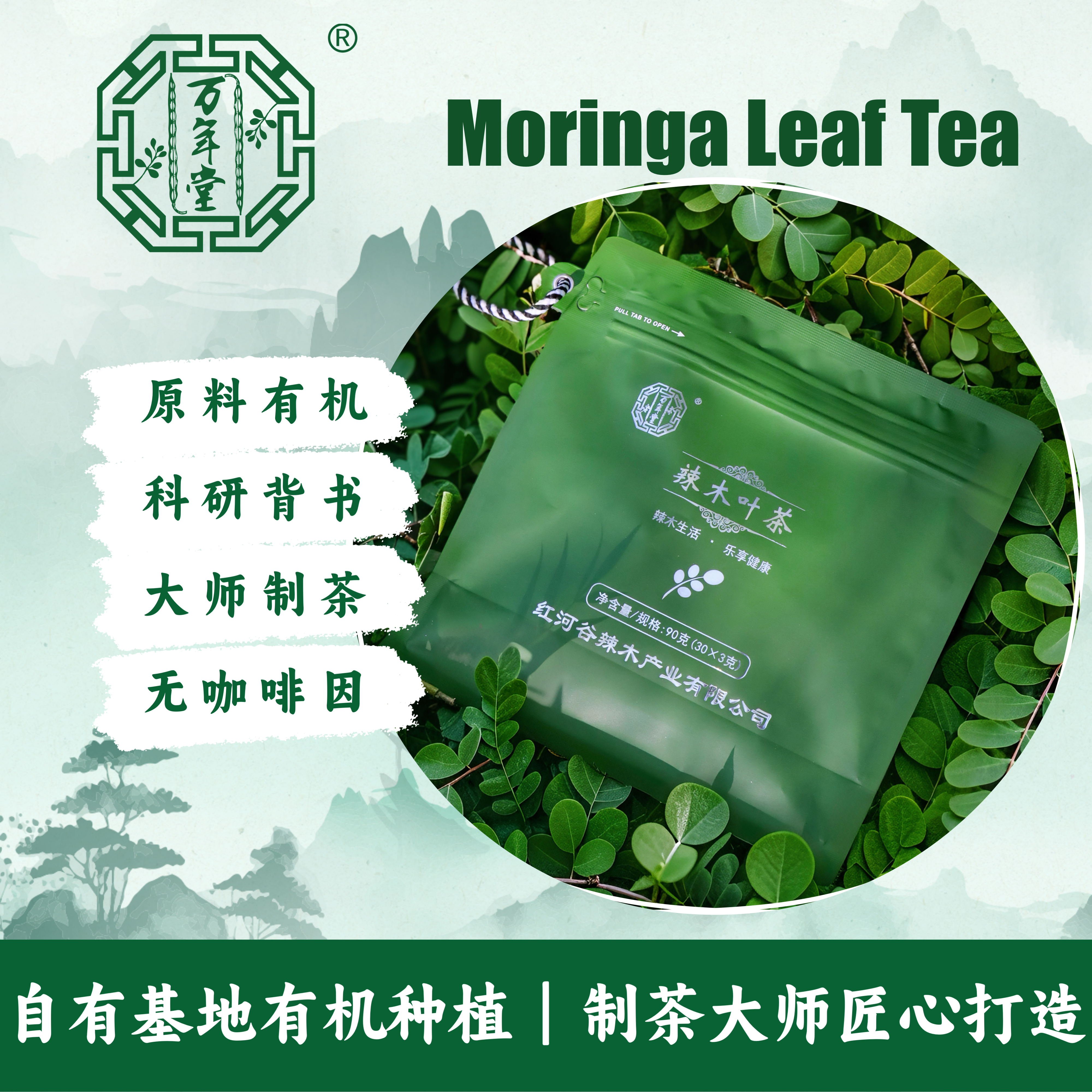 辣木茶叶有机辣木叶红河谷独立小包装独立茶包云南特产自有基地