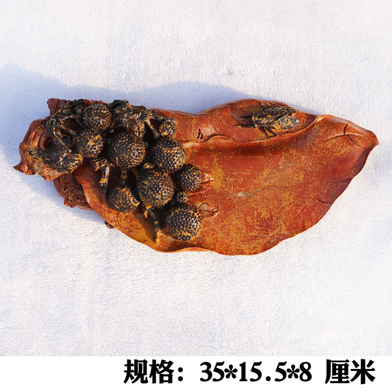 红丝砚砚台发墨好收藏佳
