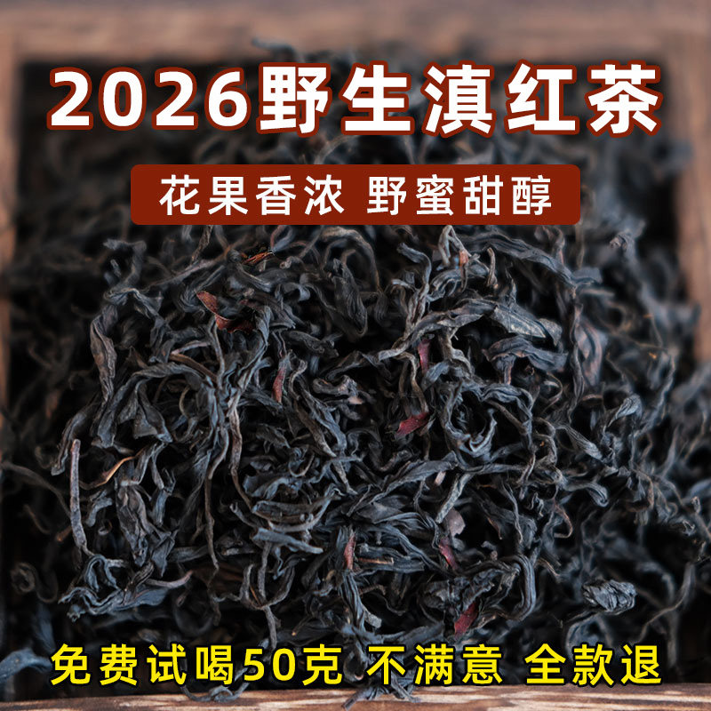 2026新春茶云南凤庆荒山野生古树滇红茶花果木蜜甜香红茶叶口粮茶