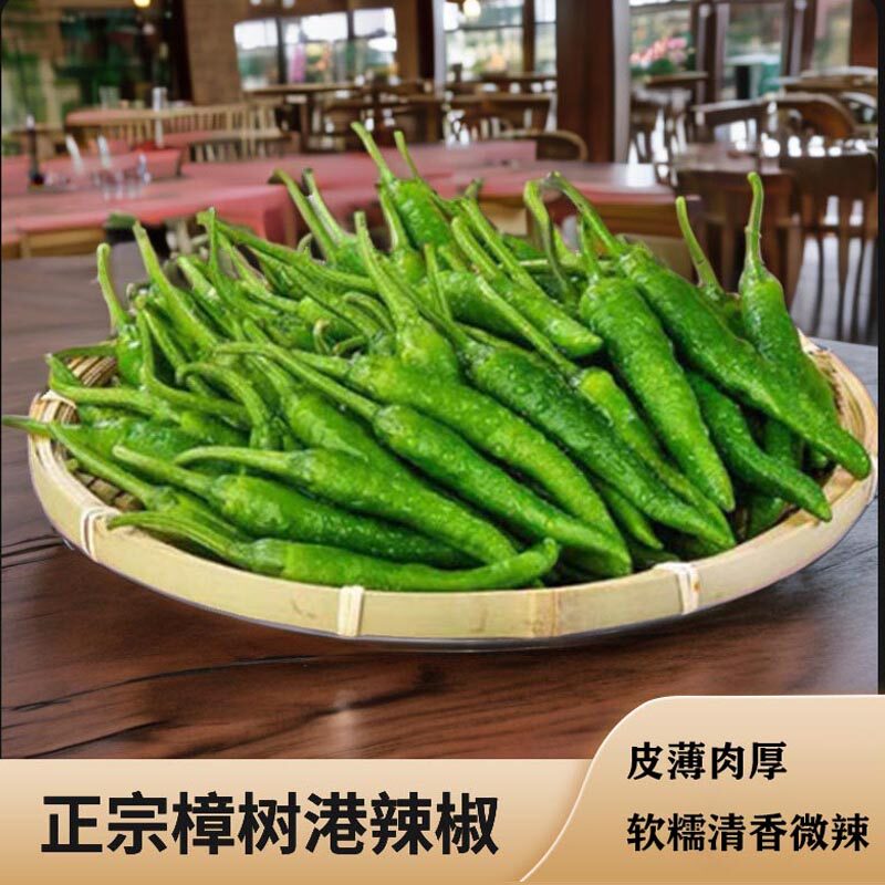 湖南正宗有机樟树港辣椒