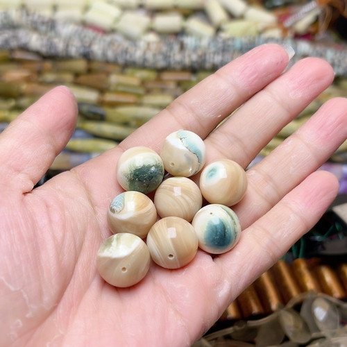 H552夜光螺圆珠15mm一个