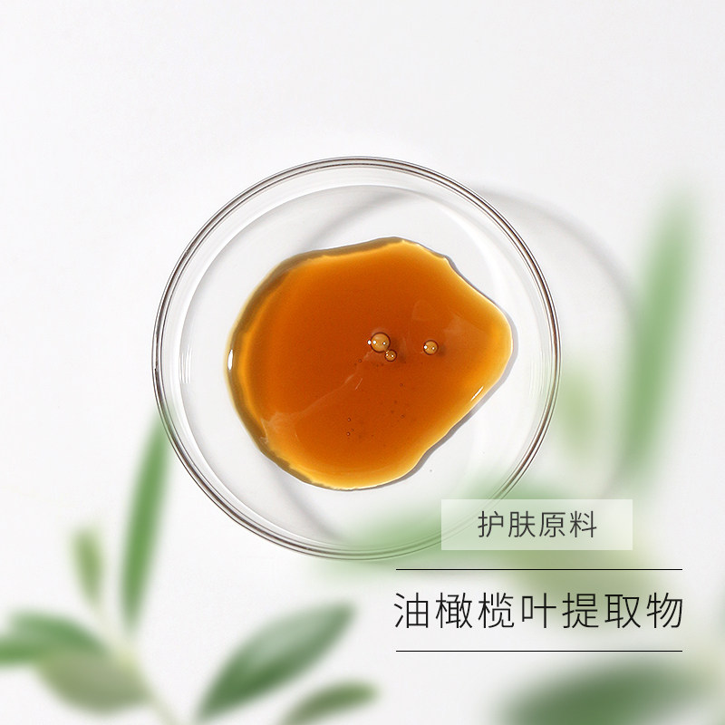 油橄榄(olea europa ea)叶提取物含橄榄苦苷油橄榄叶提取物