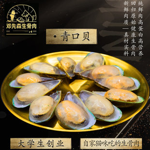 20个左右 青口贝一斤装 顺丰冷运