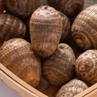 新鲜芋头芋艿现挖芋仔蒸煮沾糖强烈推荐又香又糯便宜包邮坏果包赔