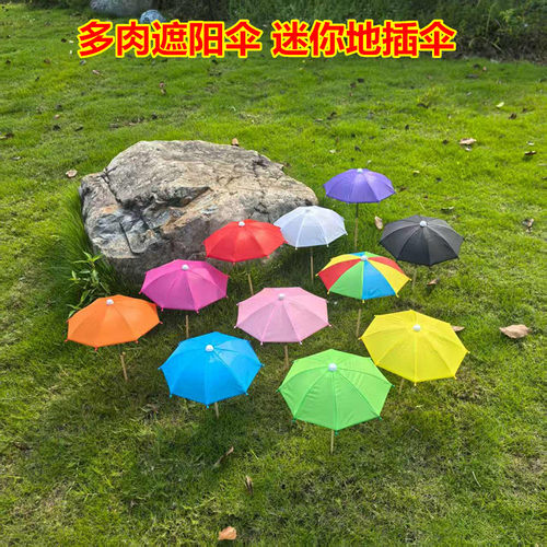 多肉遮阳小雨伞 薄款迷你防晒伞 工艺观赏伞 道具伞装饰伞娃娃伞