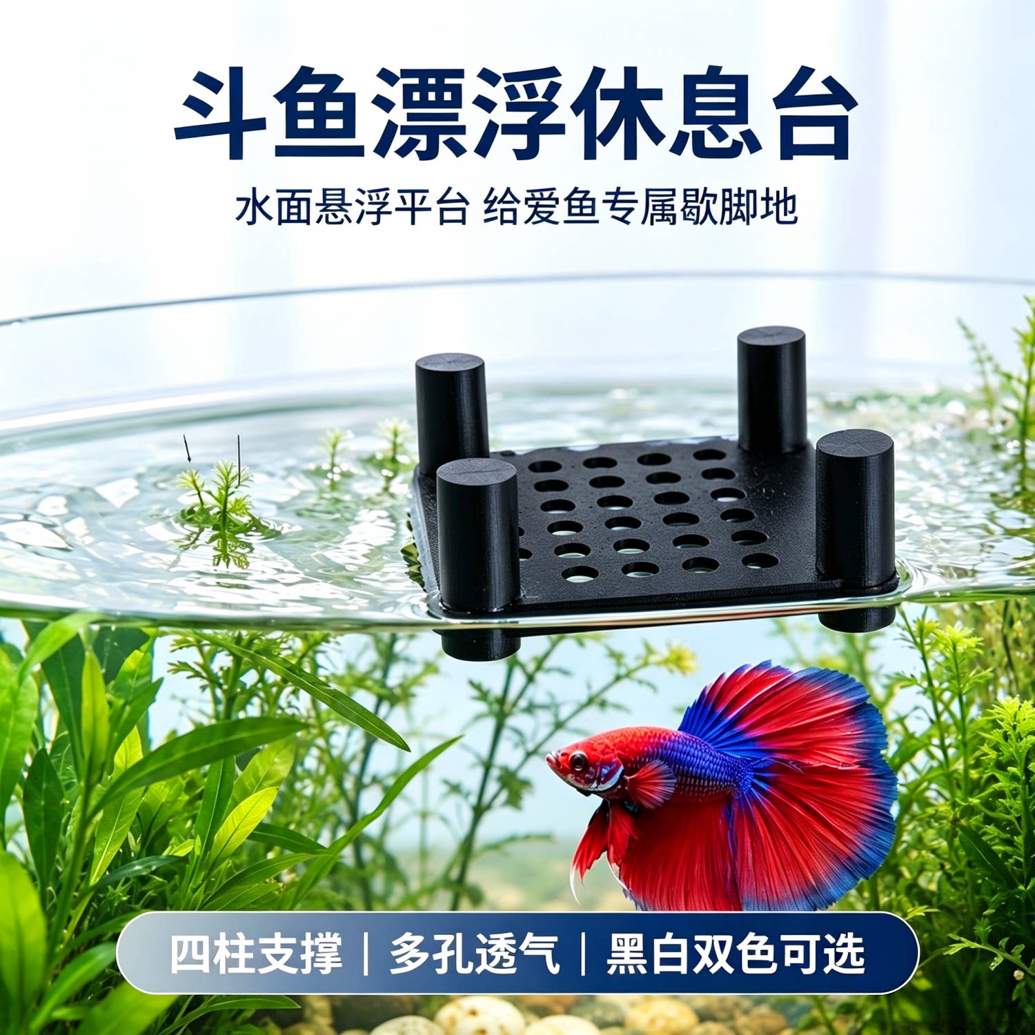 斗鱼多孔透水鱼缸漂浮躲避床
