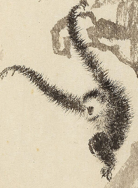 1:1清 溥儒 九猿图 48x176cm台北故宫博物院藏花鸟画真迹复制品