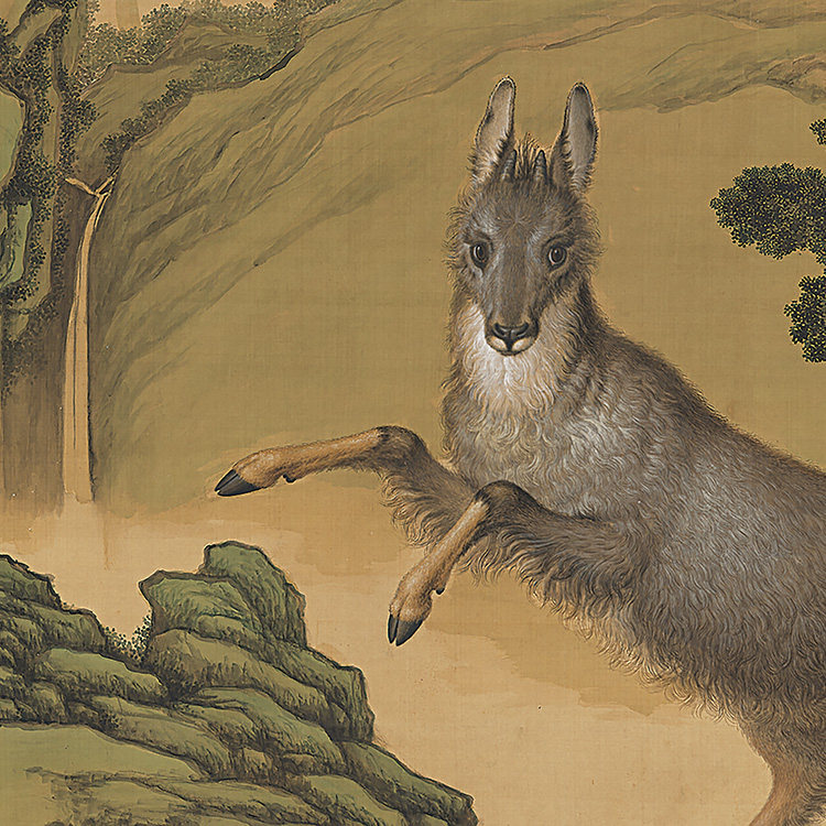 清 郎世宁 画青羊图 真迹复制品52x61cm台北故宫藏清代画院花鸟画