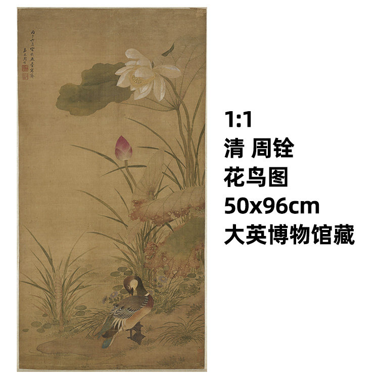 1:1清 周铨 花鸟图 真迹复制品50x96cm大英博物馆藏国画真迹复制