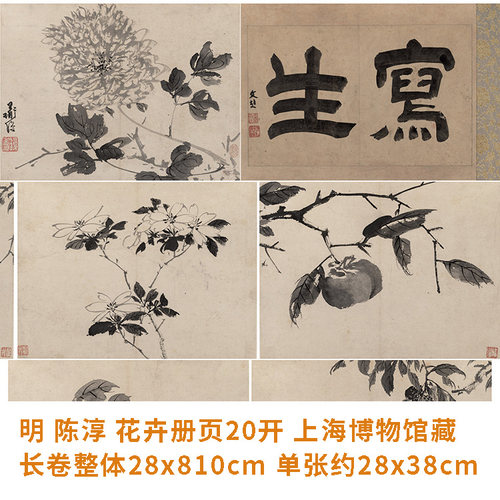 陈淳册页上海博物馆藏画复制品