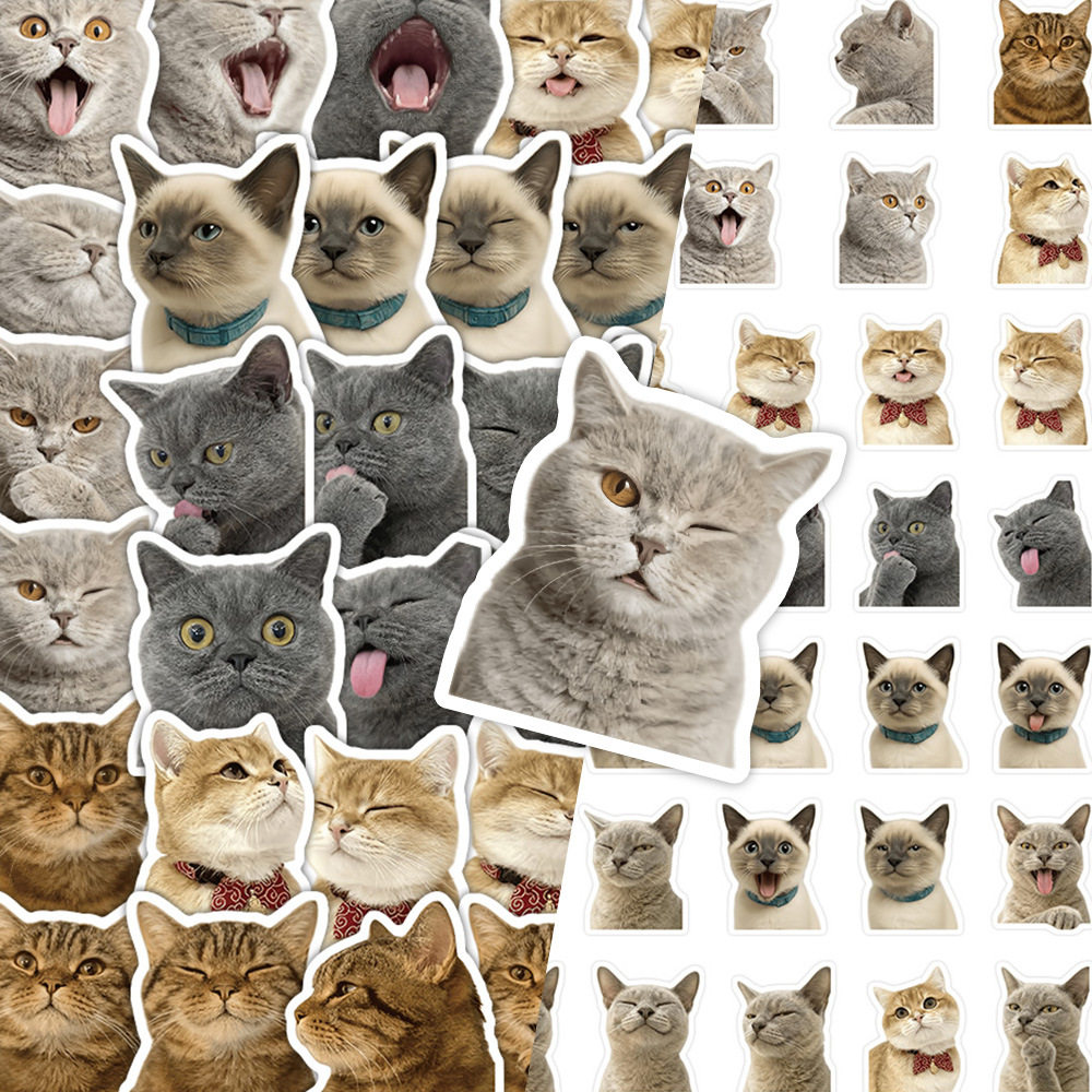 54张猫咪表情包大头贴纸装饰贴画