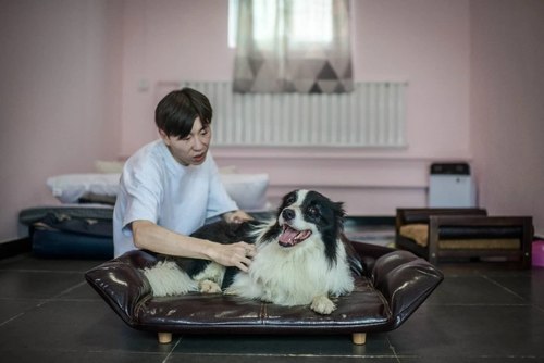 塞拉宠物订制宠物专属春节狗狗