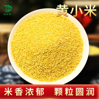 粗粮新小米东北黄小米500g粗粮