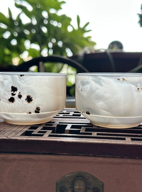 天然马料同料一对玛瑙高底草花茶杯水墨流线白云茶具摆件观赏对杯