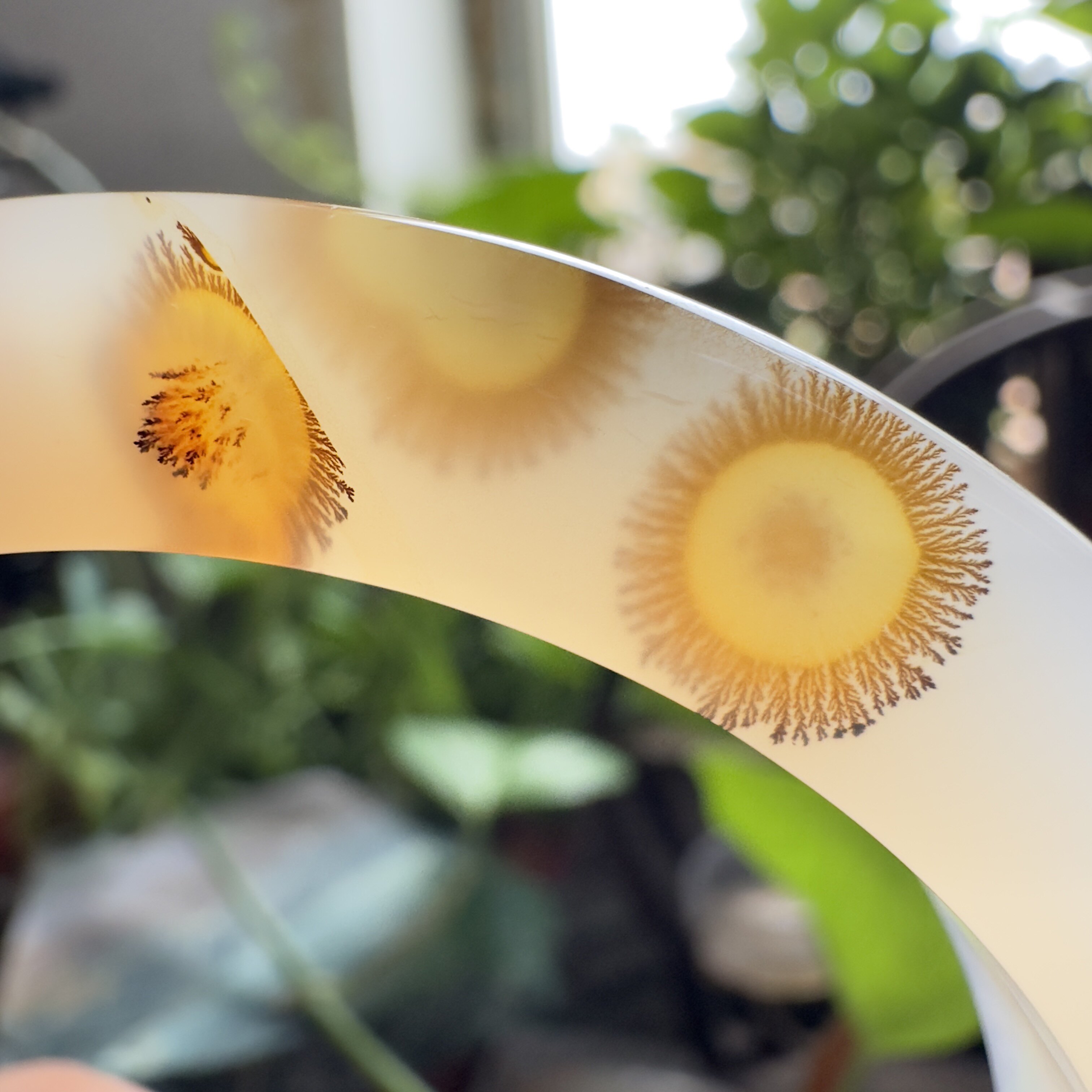 天然马料海洋玉髓大花草花太阳花山景小草景观玛瑙手镯方镯韩版58