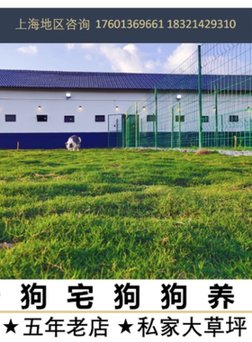 宠物养老狗狗养老长期包年寄养上海老店全城接送猫咪养老寄养