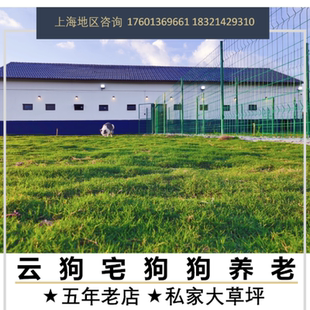 宠物养老狗狗养老长期包年寄养上海老店全城接送猫咪养老寄养
