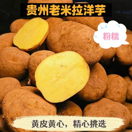 贵州土豆新鲜现挖黄皮黄心粉糯