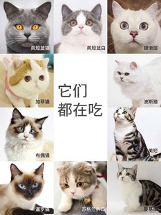 救助猫粮流浪猫救助散装 猫粮狗狗可吃