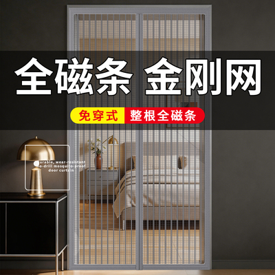 简约磁吸升级第三代金刚网磁条加密卧室磁性门帘防蚊加宽现代