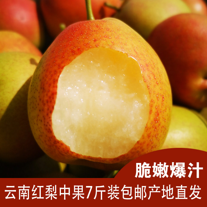 见鹿庄园云南红梨中果12个装5斤包邮新鲜水果酸甜酥梨非火把梨