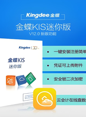 金蝶财务软件会计记账财务报表