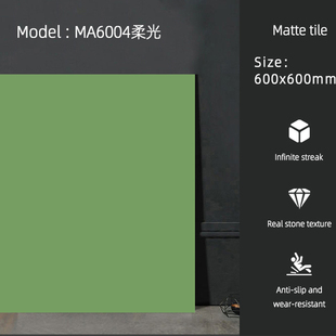 网红纯色600*600哑光抛釉瓷砖全瓷卫生间阳台客餐厅通铺地砖墙砖