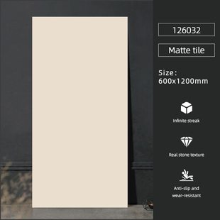 网红纯色600*1200哑光瓷砖全瓷卫生间阳台客厅通铺地砖墙砖