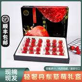 丹东九九草莓奶油红颜轻奢礼盒空运 包邮 新鲜红草莓礼盒