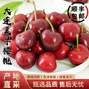大连新鲜美早樱桃头茬大果果园采摘水果装 新果国产车厘子 孕妇应季