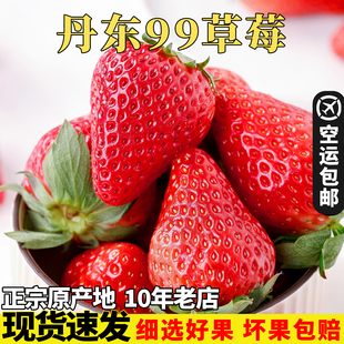 现货丹东草莓大果新鲜99草莓红颜九九牛奶草莓孕妇水果空运礼盒装