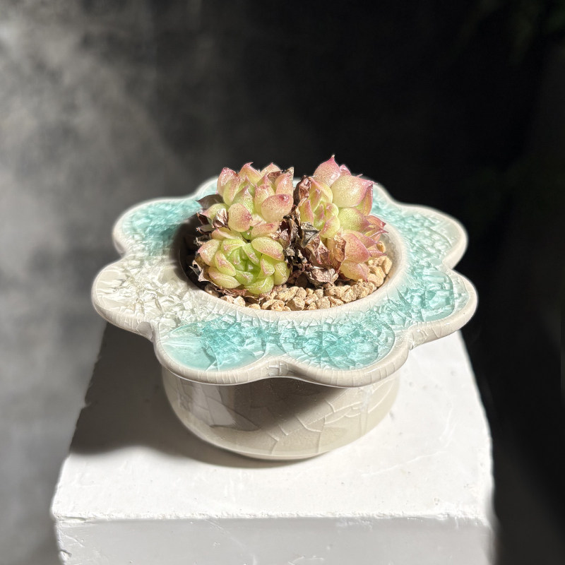 多肉花盆琉璃简约可爱陶瓷个性开片冰裂创意清新桌面控型透气特价图片