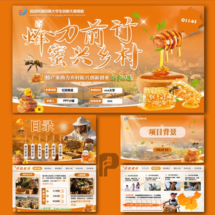 互联网+挑战杯创新创业乡村振兴大赛PPT模板