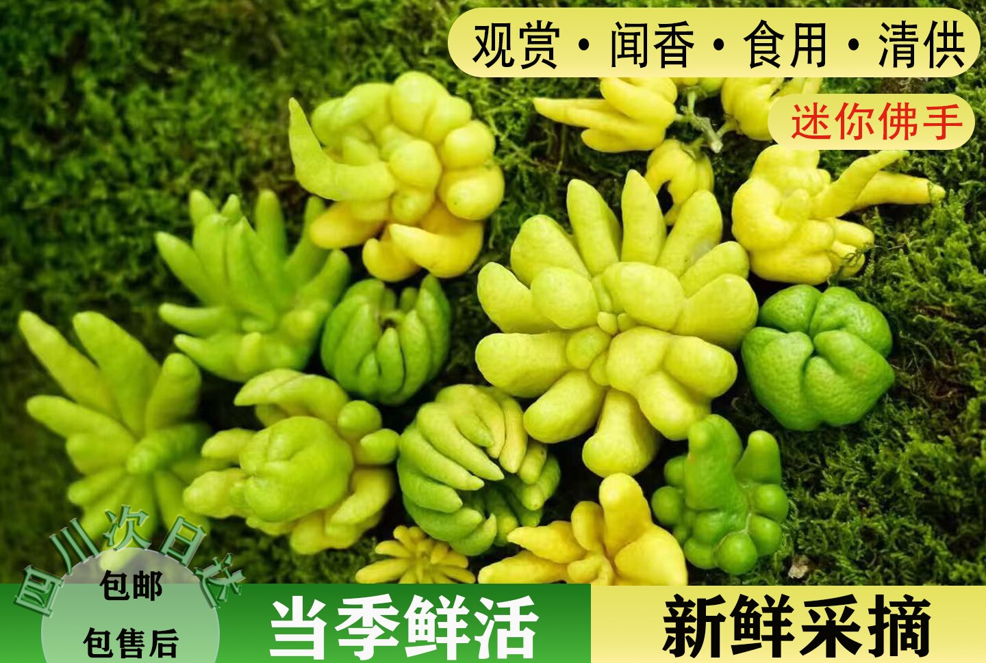 【迷你佛手】佛手柑鲜果现摘现发可爱小迷你观赏闻香把玩挂件吊坠