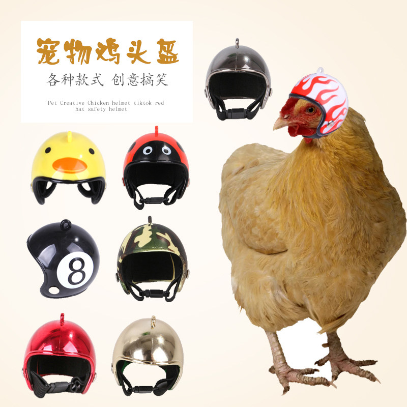 新品创意宠物热销鸡头盔搞笑安全保护头套鸡头安全帽鸟帽保护头盔