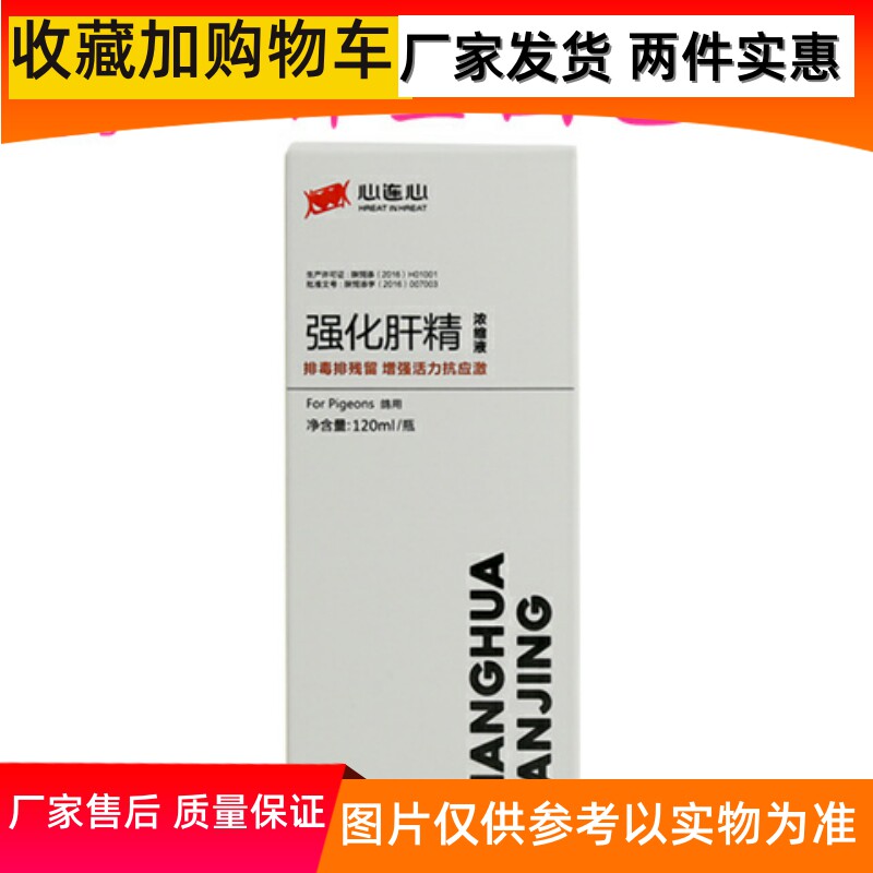 心连心强化肝精浓缩液信鸽用品正品厂家发货