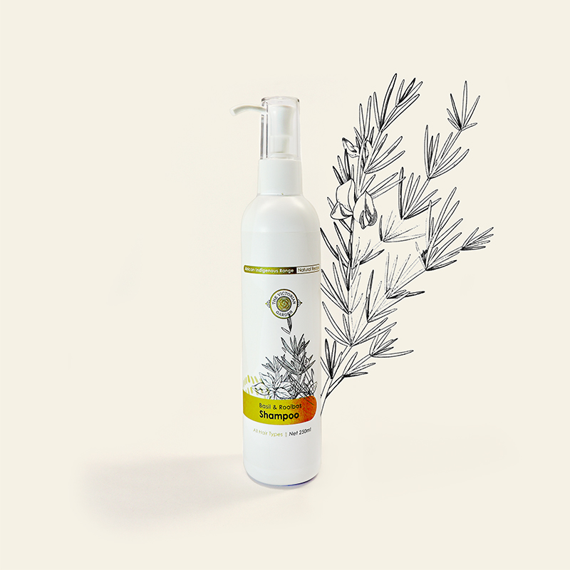 (保税仓发货)VG野罗勒与博士茶洗发精 洗发水 维多利亚花园