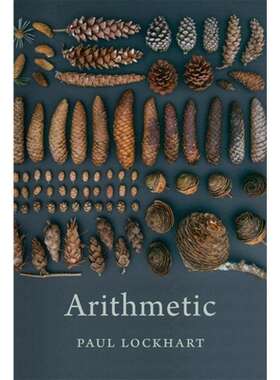 现货 英文原版 Arithmetic 算法 Paul Lockhart