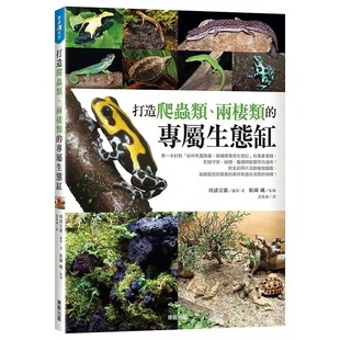 自然科普 在途 ndd 专属生态缸 打造爬虫类 中国台湾东贩 两栖类 川添宣広
