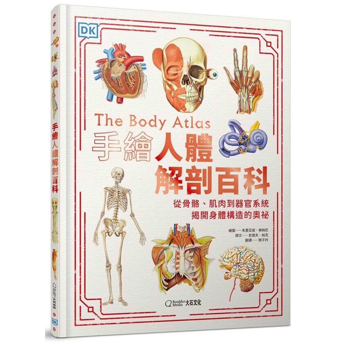 预售 手绘人体解剖百科:从骨骼、肌肉到器官系统,揭开身体构造的奥秘 大石国际文化 史提夫・帕克