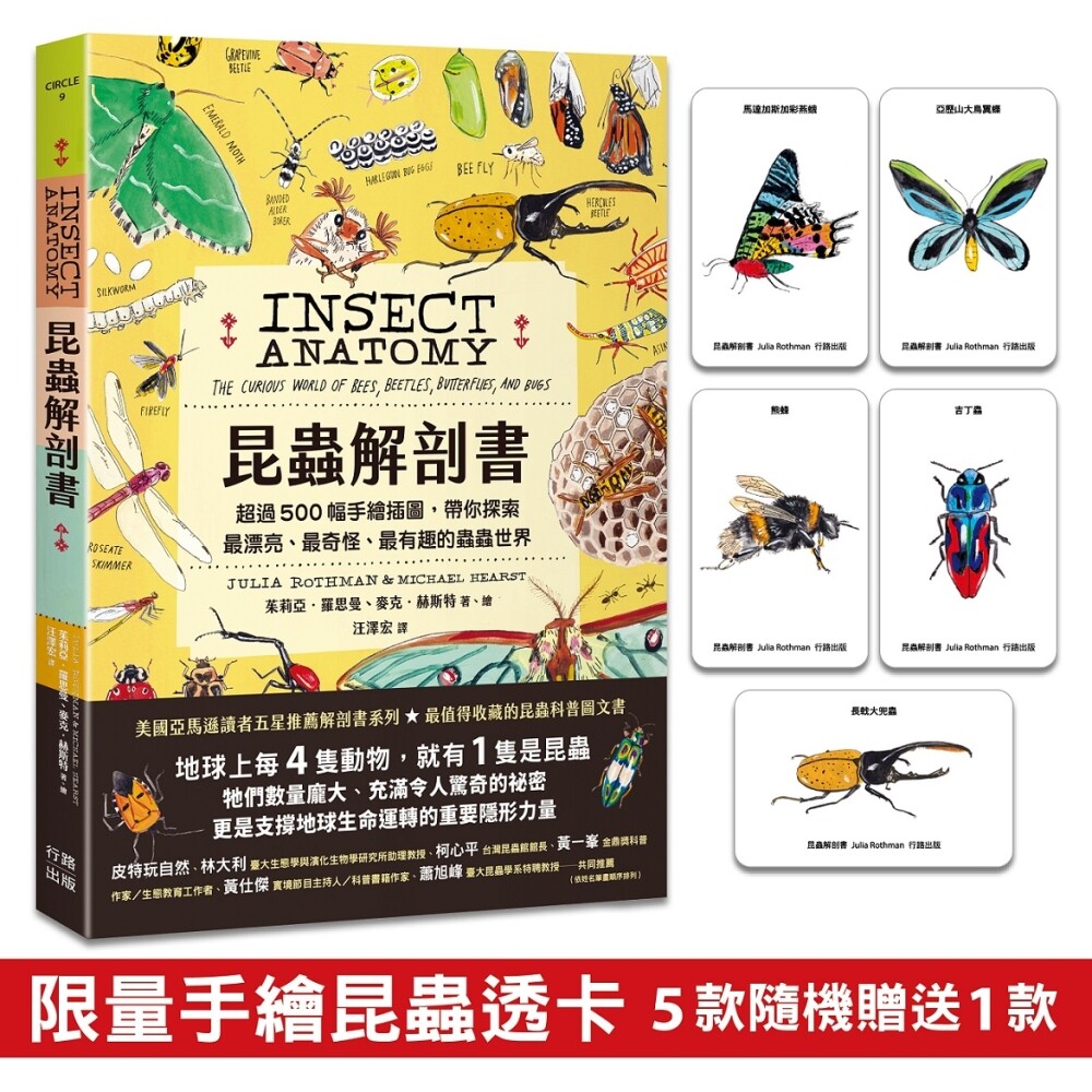 预售 昆虫解剖书：超过500幅手绘插图，带你探索*漂亮、*奇怪、*有趣的虫虫世界【赠送：作者手绘昆虫透卡 行路 茱莉亚?罗