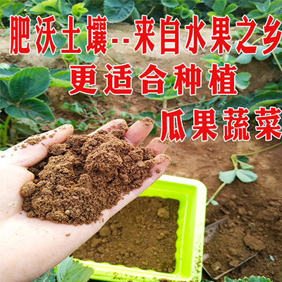 营养土种植土养花种菜通用型草莓苗专用土绿植土壤腐植有机泥土