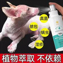 狗狗皮肤病外用药狗藓真菌感染专用药瘙痒脱毛皮炎狗癣脓皮症喷剂