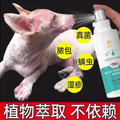 狗狗皮肤病外用药狗藓真菌感染专用药瘙痒脱毛皮炎狗癣脓皮症喷剂