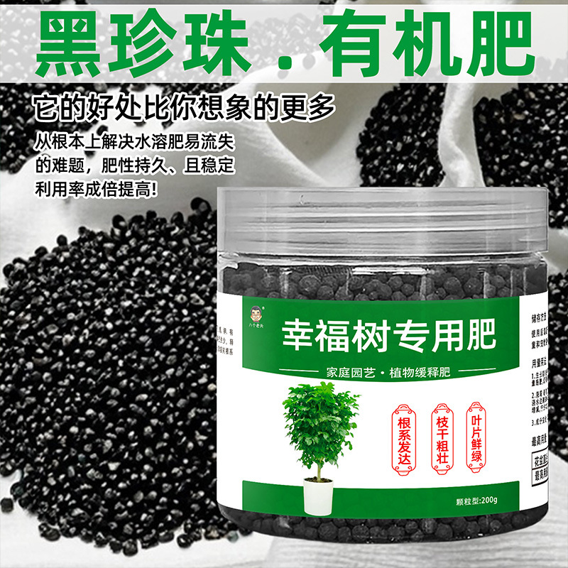 幸福树专用肥料幸福树掉叶子专用肥防黄叶枯叶