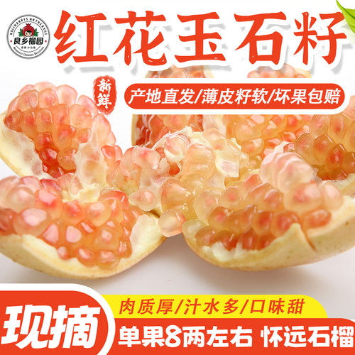 良香怀远石榴红花玉石籽