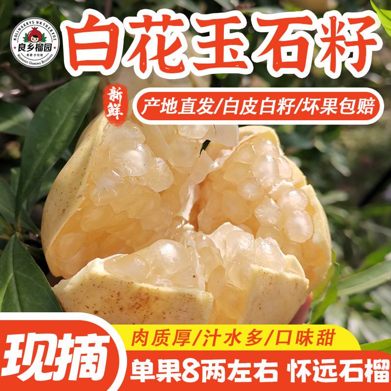 怀远石榴白花玉石籽地方特产