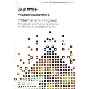 广东省社会美术培训机构考察与分析 9787536253575 岭南美术出版 现货 石磊 潜质与提升 社 著 包邮